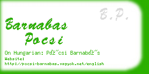 barnabas pocsi business card